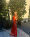 Sexy V-neck Sleeveless Sheath Floor Length Prom Dress,SWS2312