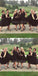 Popular Black Sleeveless Knee Length Bridesmaid Dresses , SW0016