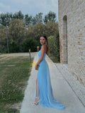 Elegant Strapless Sleeveless Side slit Mermaid Long Prom Dress,SWS2070