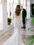 Elegant Deep v-neck Lone sleeves Mermaid Lace applique Wedding Dresses, DB0253