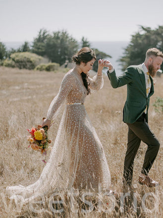 Simple V-neck Lone sleeves  A-line Open back Wedding Dresses,DB0216