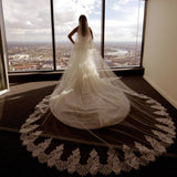 Spaghetti Strap Sweetheart Mermaid Lace Beading Tulle Trailing Wedding Dress. RG0190